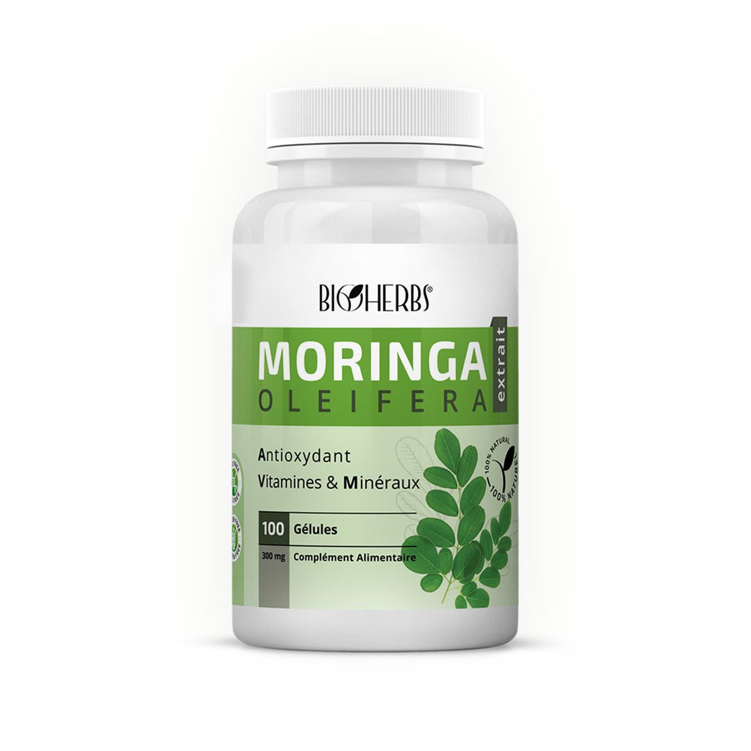 Moringa  tunisie