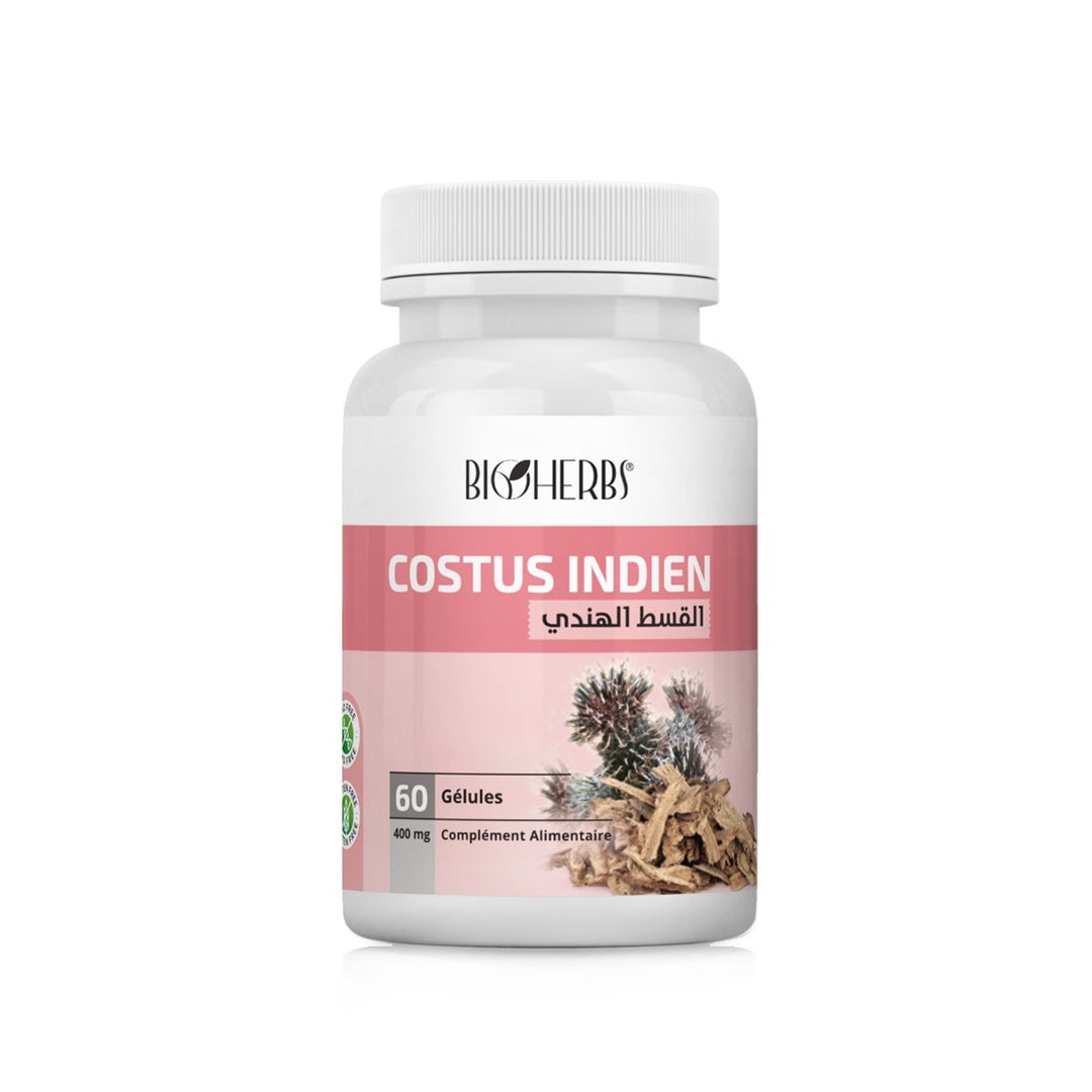 Costus Indien القسط الهندي - BioHerbs Tunisie