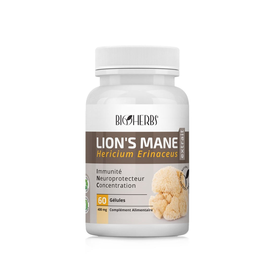 Lion’s mane (Hericium erinaceus) فطر عرف الأسد - BioHerbs Tunisie