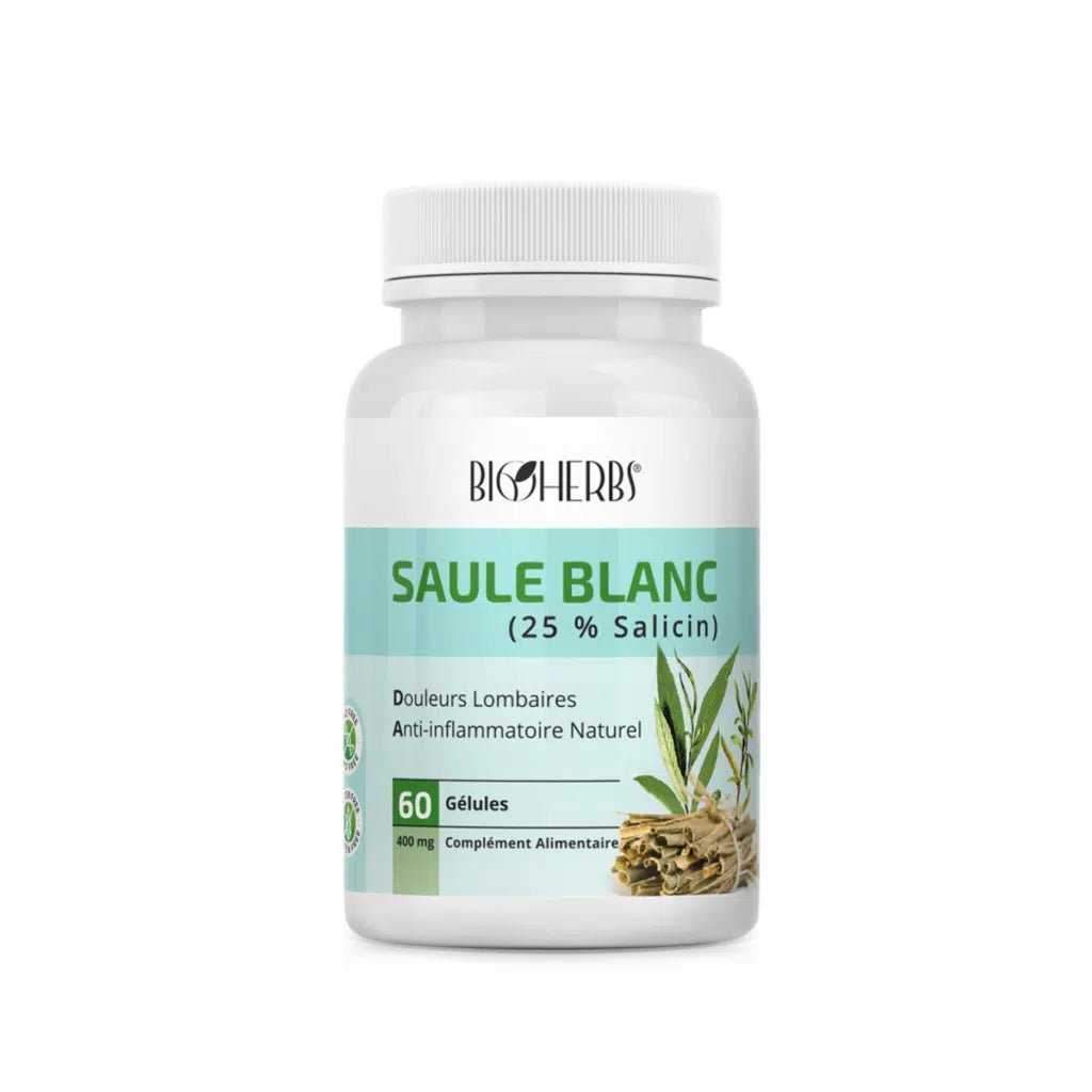 Saule Blanc - BioHerbs Tunisie