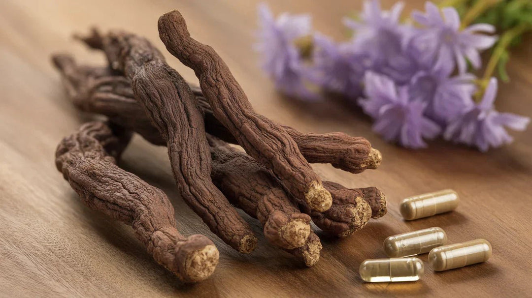 Harpagophytum Bienfaits : Soulager Naturellement les Douleurs Articulaires