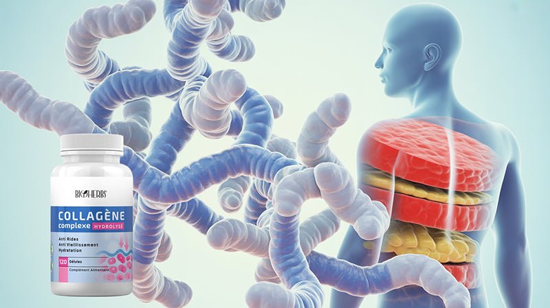 Collagène Complexe : Guide Complet sur les Bienfaits et l'Utilisation