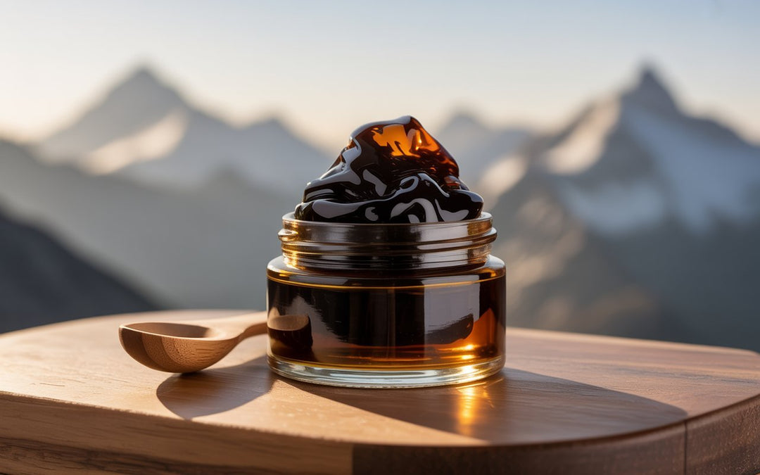 Shilajit Himalaya — Ce que les Traditions Savaient, la Science Confirme