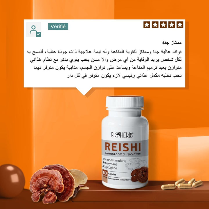 Reishi Ganoderma