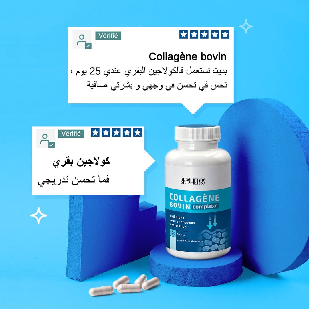 Collagène Bovin Complexe