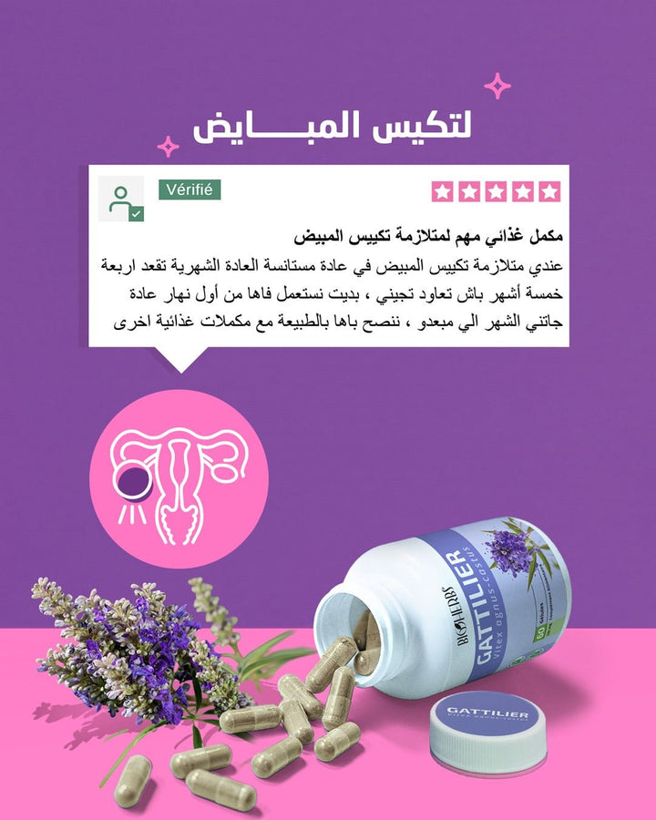 Gattilier – Vitex عشبة كف مريم