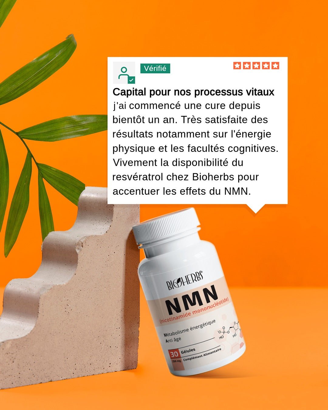 NMN Nicotinamide Mononucléotide