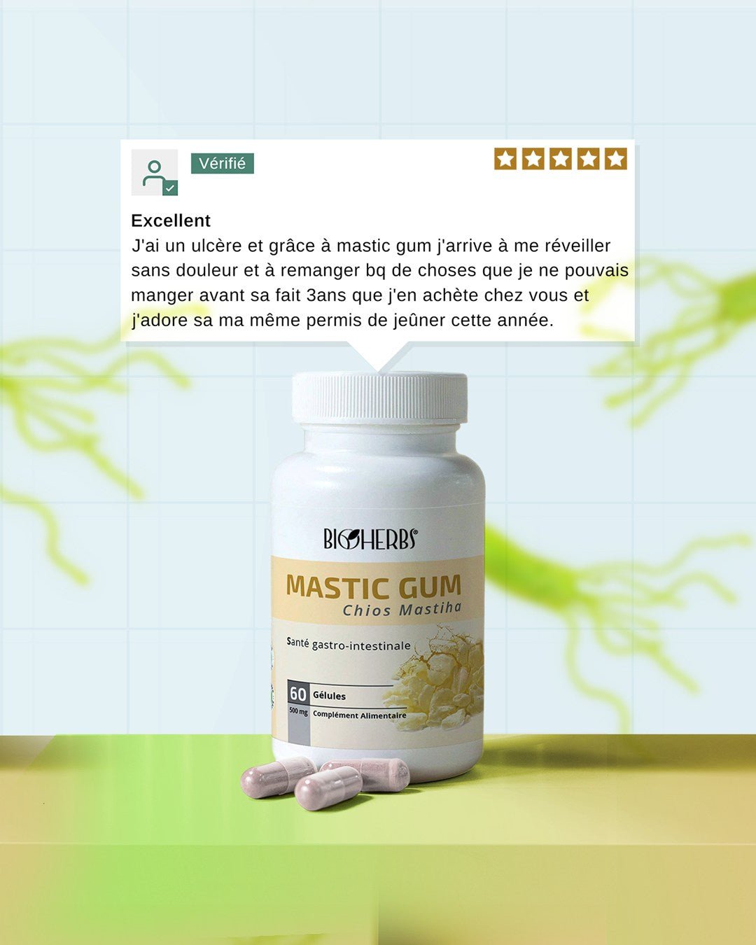 Mastic Gum