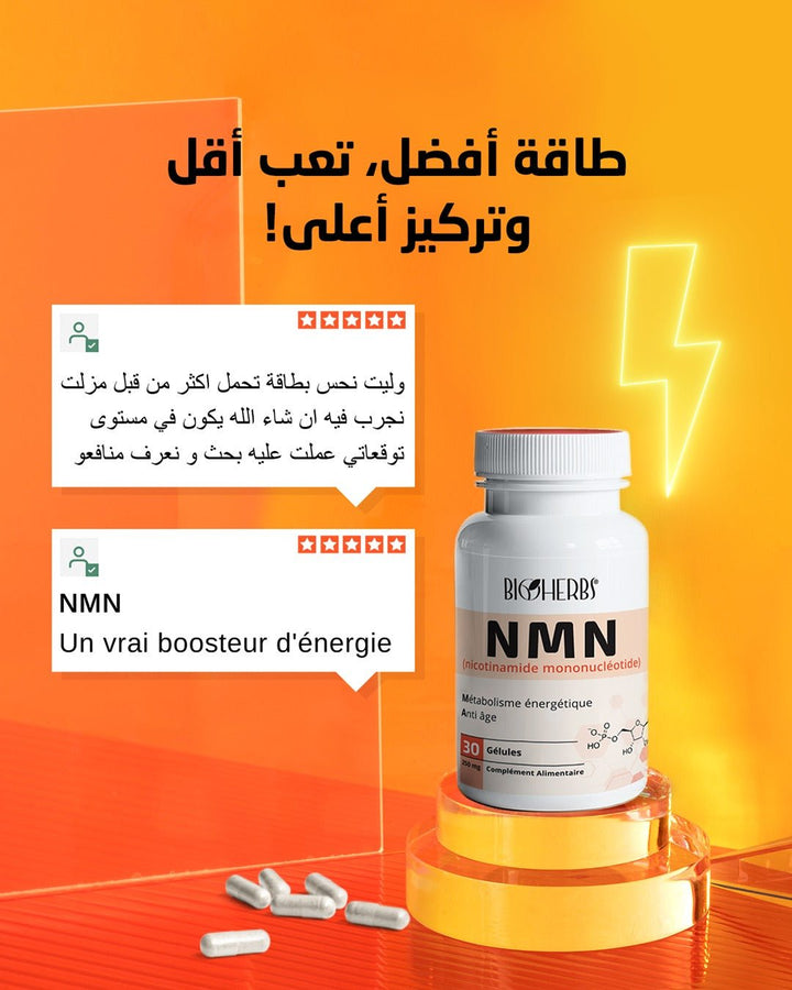 NMN Nicotinamide Mononucléotide