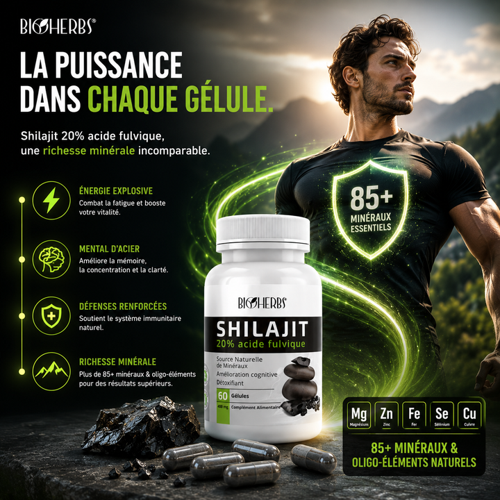 Shilajit