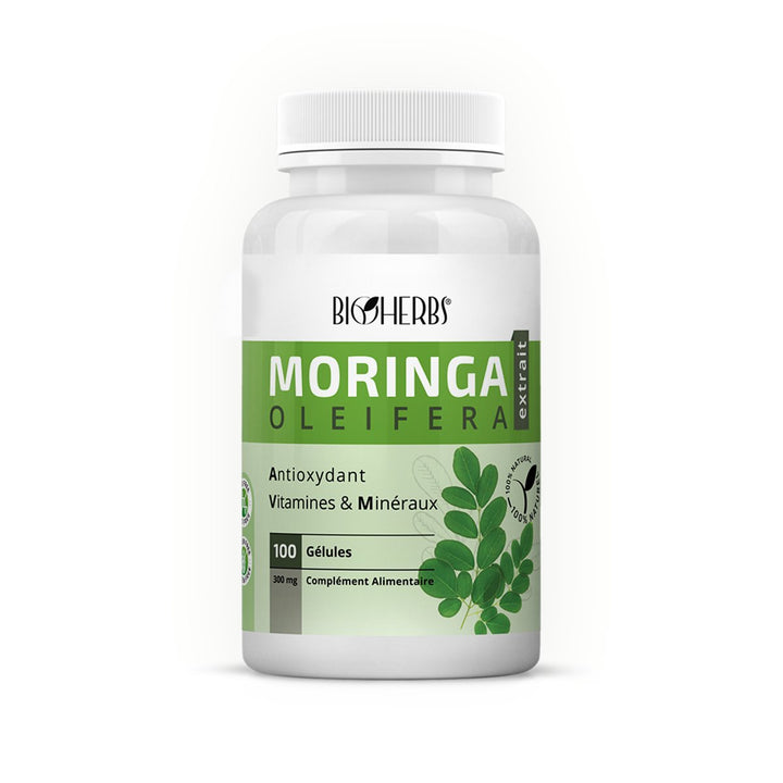 Moringa  tunisie