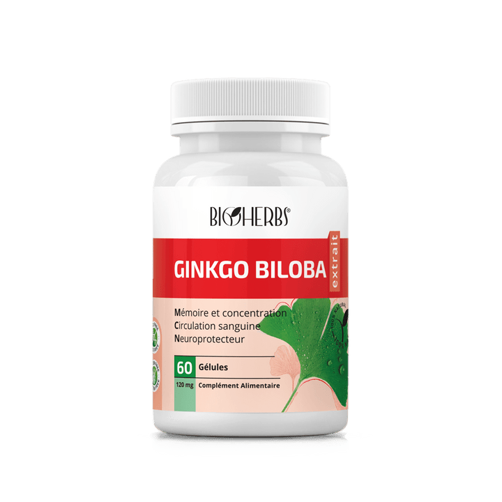 Ginkgo Biloba