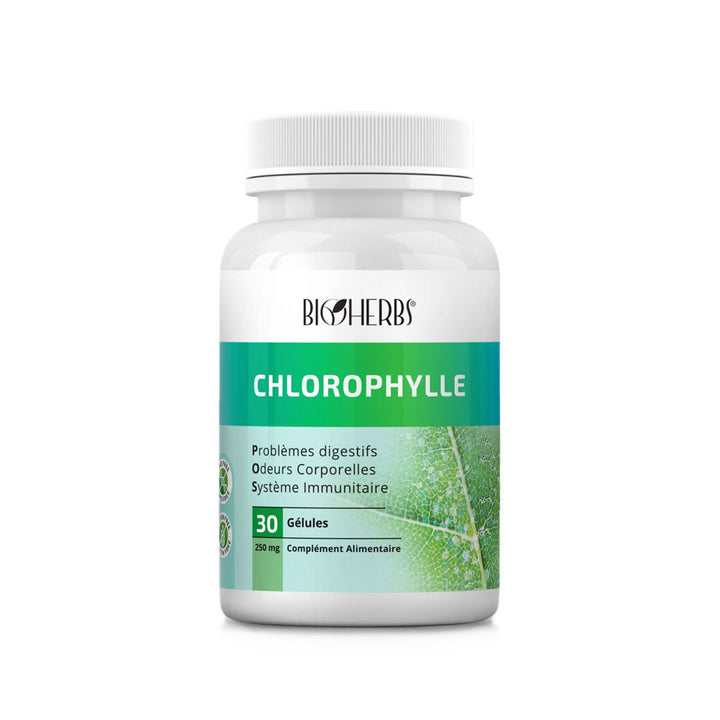 Chlorophylle - BioHerbs Tunisie