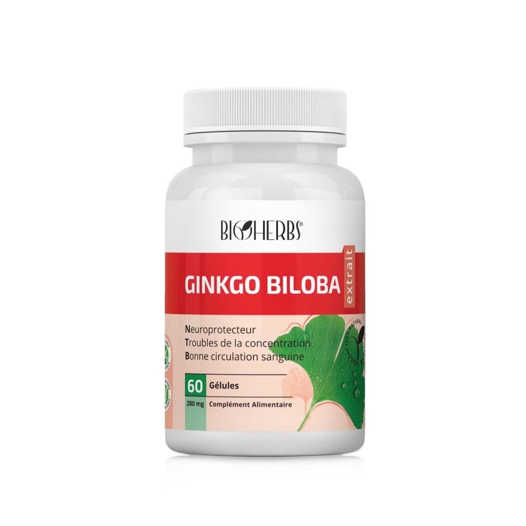 Ginkgo Biloba