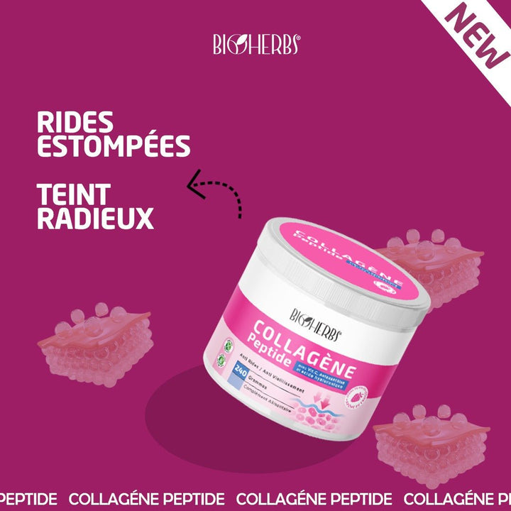 Collagène Peptides Poudre